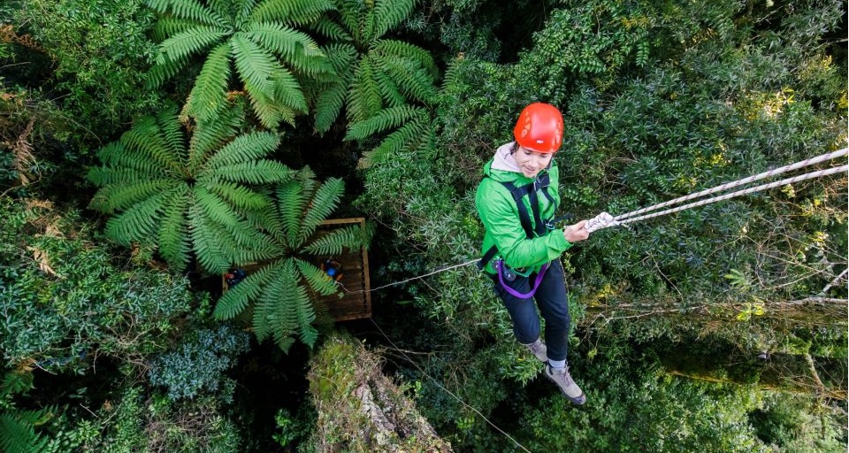 Best Rotorua Canopy Tours