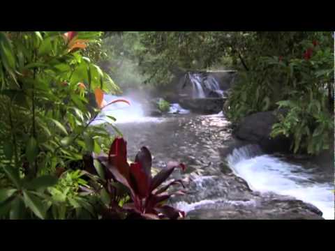 Discover Costa Rica