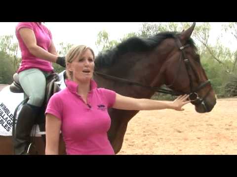 Horse Riding: How To Start