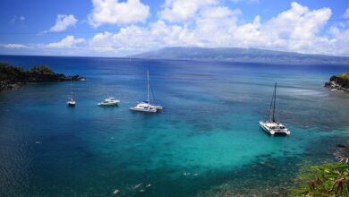 Best Snorkeling Spots in Hawaii