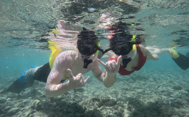 Oahu Hanauma Bay Guided Snorkel Tour