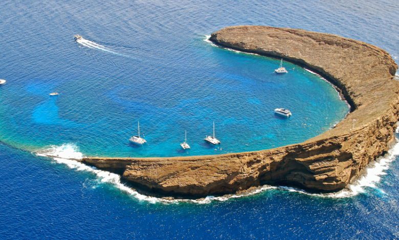 The 8 Best Maui Molokini Snorkeling Tours 2021