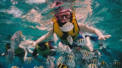 Best Snorkeling Tours In Cancun