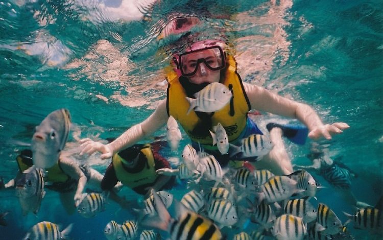 Best Snorkeling Tours In Cancun