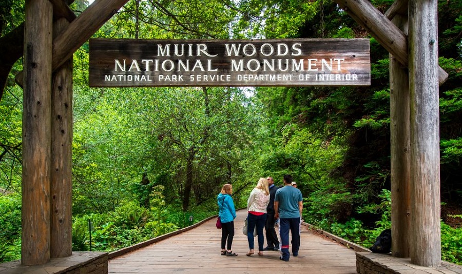 Best Muir Woods Tours From San Francisco