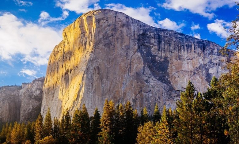 Best Yosemite Tours From San Francisco
