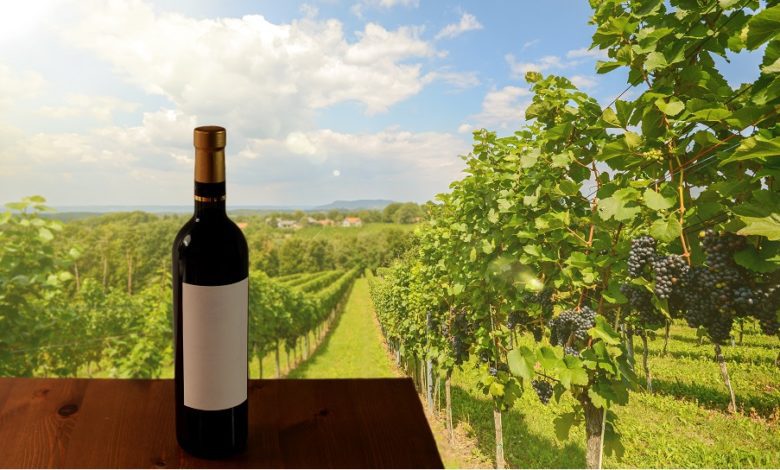 best san francisco wine tours