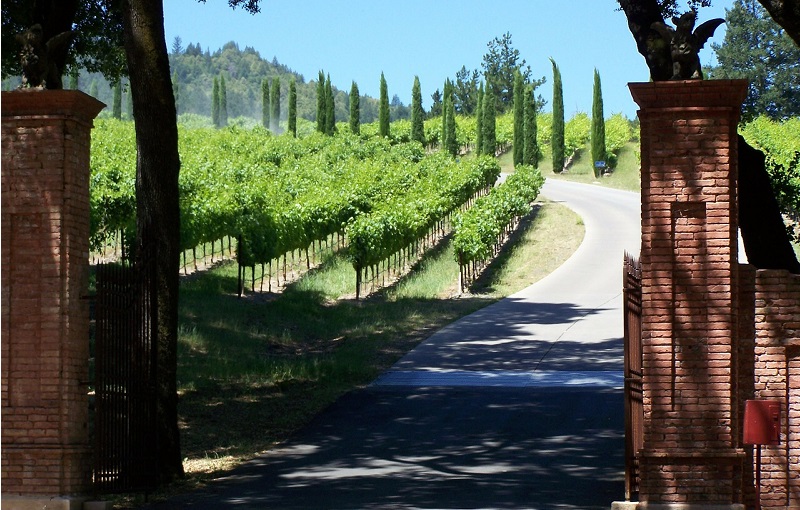 best-wine-tours-from-san-francisco