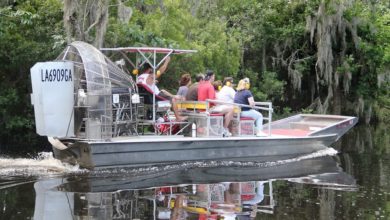 Best New Orleans Swamp Tours