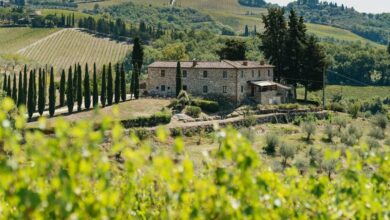 Best Florence Wine Tours