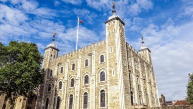 Best Tower of London Tours