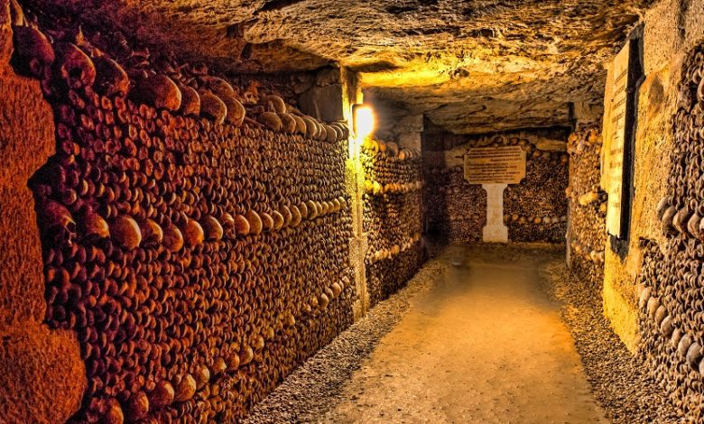 best paris catacombs tour
