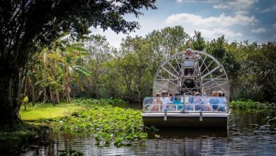 best everglades tours from miami