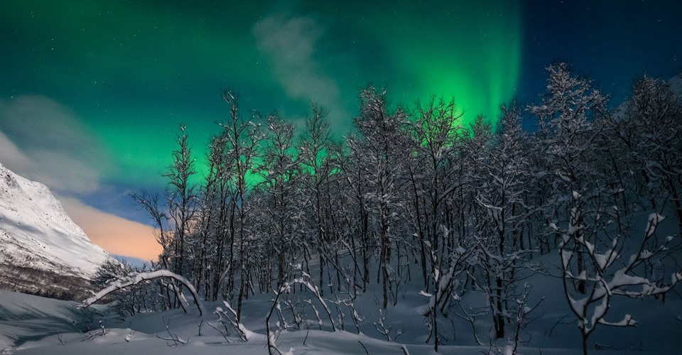 Best Northern Lights Tours In Norway
