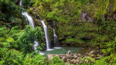 Best Maui Road to Hana Tours