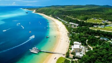 Best moreton island day trips from brisbane