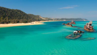 best moreton island tours trips from sydney