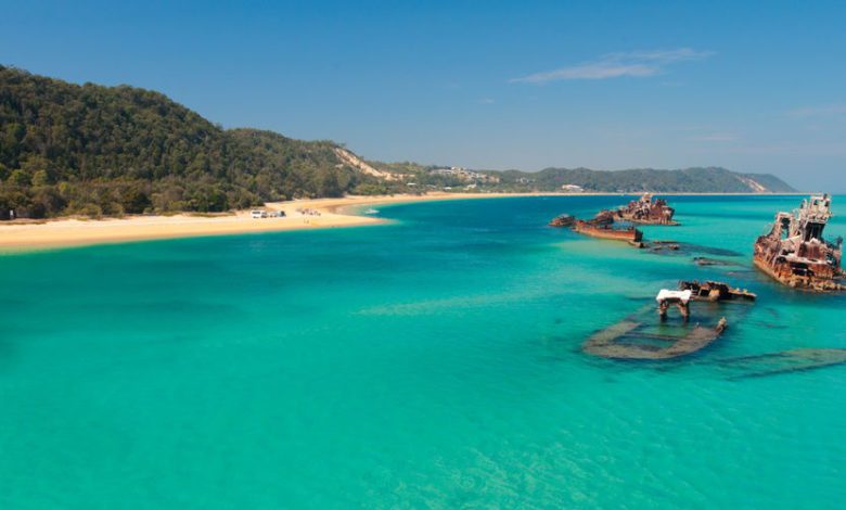 best moreton island tours trips from sydney