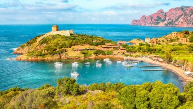 Best Boat Tours in Corsica