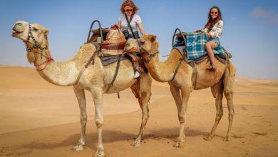 Best Camel Riding Tours In Dubai