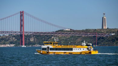 The 5 Best Sailing and River Cruises in Lisbon, Portugal