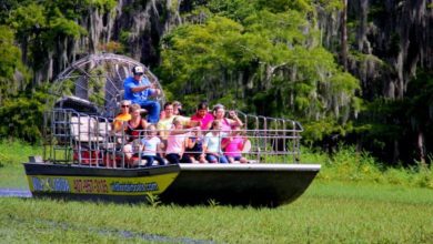 Best Everglades Tours From Orlando