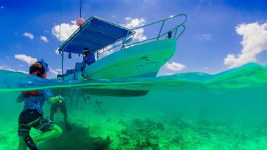 Best Puerto Rico Snorkeling Tours