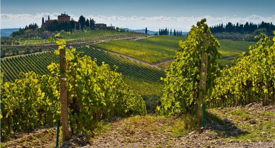 day tours of tuscany from florence