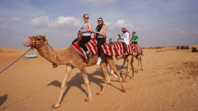 Best Dubai Desert Safaris