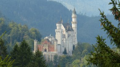Best Neuschwanstein Castle Tours
