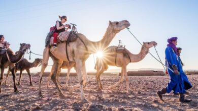 Best Marrakech Desert Tours