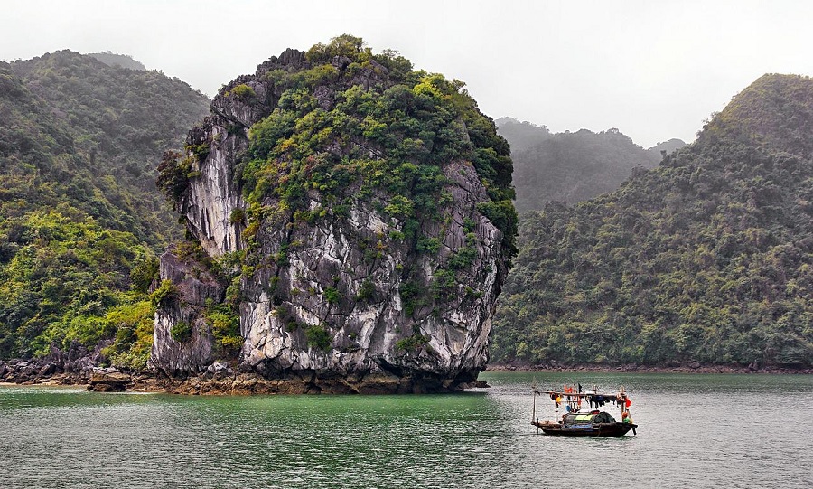best halong bay tours