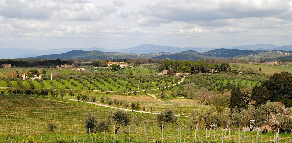 Best Chianti Wine Tours From Florence