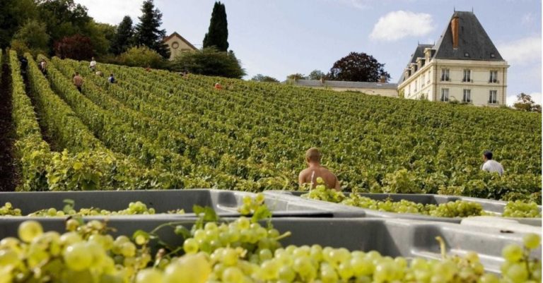 The 5 Best Champagne Day Trips From Paris [2023 Reviews] | World Guides ...