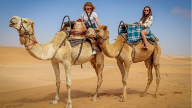 Best Qatar Desert Safari Tours