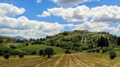 Best Tuscany Cooking Classes