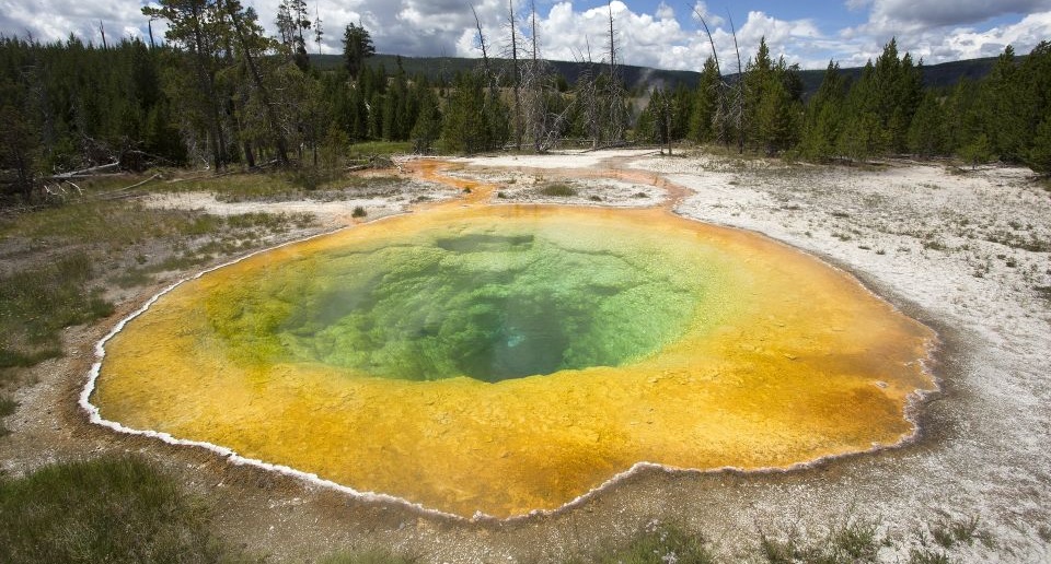 Best Tours of Yellowstone Park from Jackson