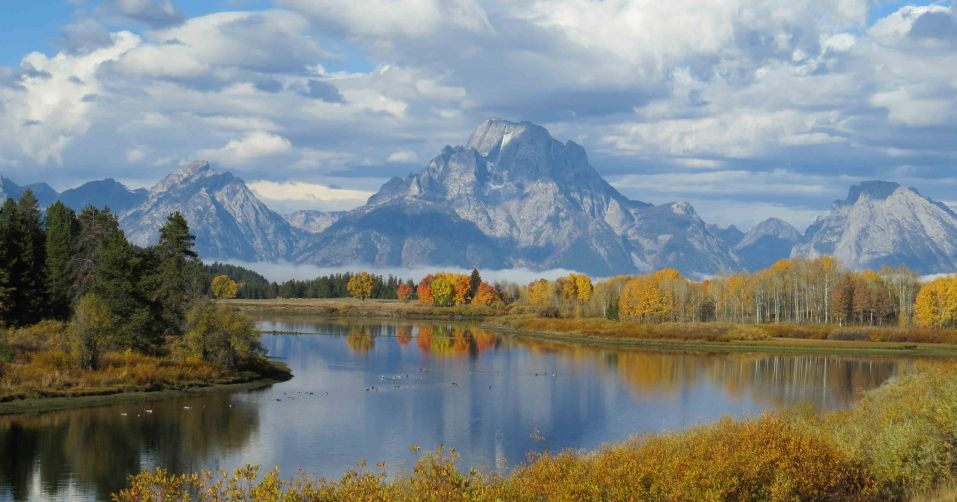 Best Yellowstone Tours From Jackson