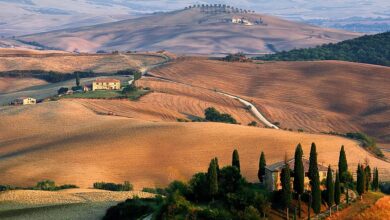 Insider’s Guide to Tuscany