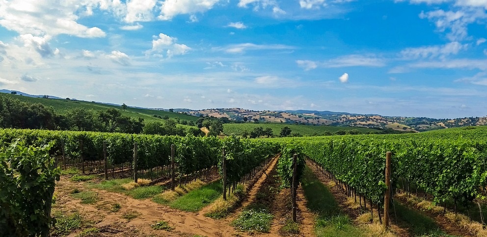Tuscany Winery