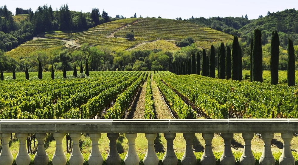 Best Wine Tour Locations In the World