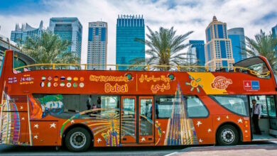 Dubai Bus and Private Car Tours