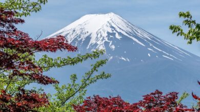 Best Mt Fuji Day Trips From Tokyo