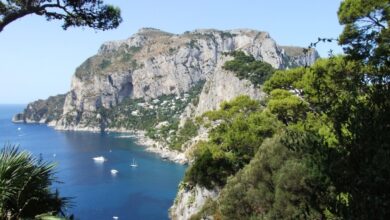 Best Capri Day Trips From Sorrento