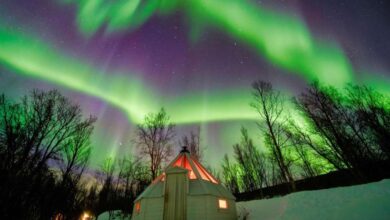 Best Kiruna Northern Lights Tours