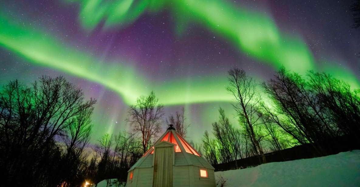 Best Kiruna Northern Lights Tours