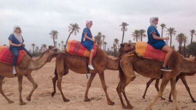 Trips From Marrakech