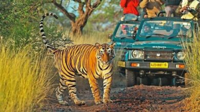 Best Private Tours from New Delhi