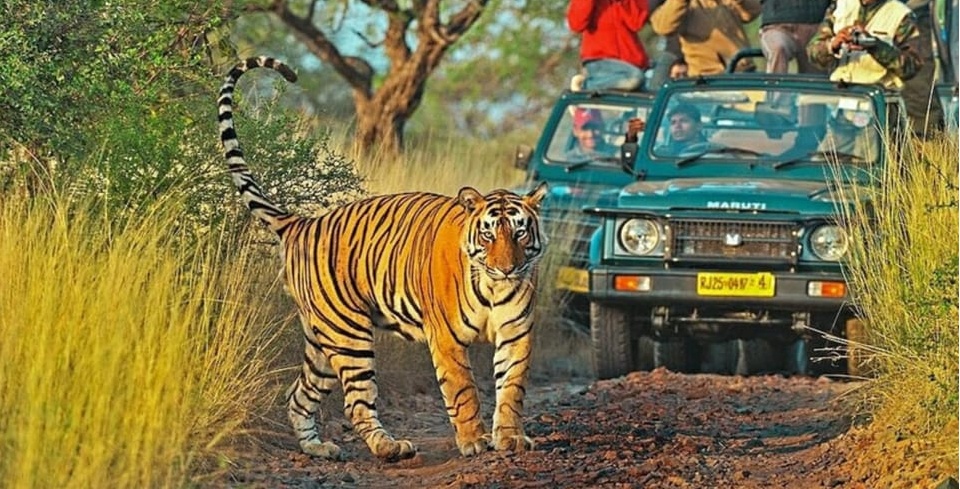 Best Private Tours from New Delhi