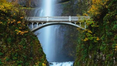 Best Columbia River Gorge Waterfalls Tours